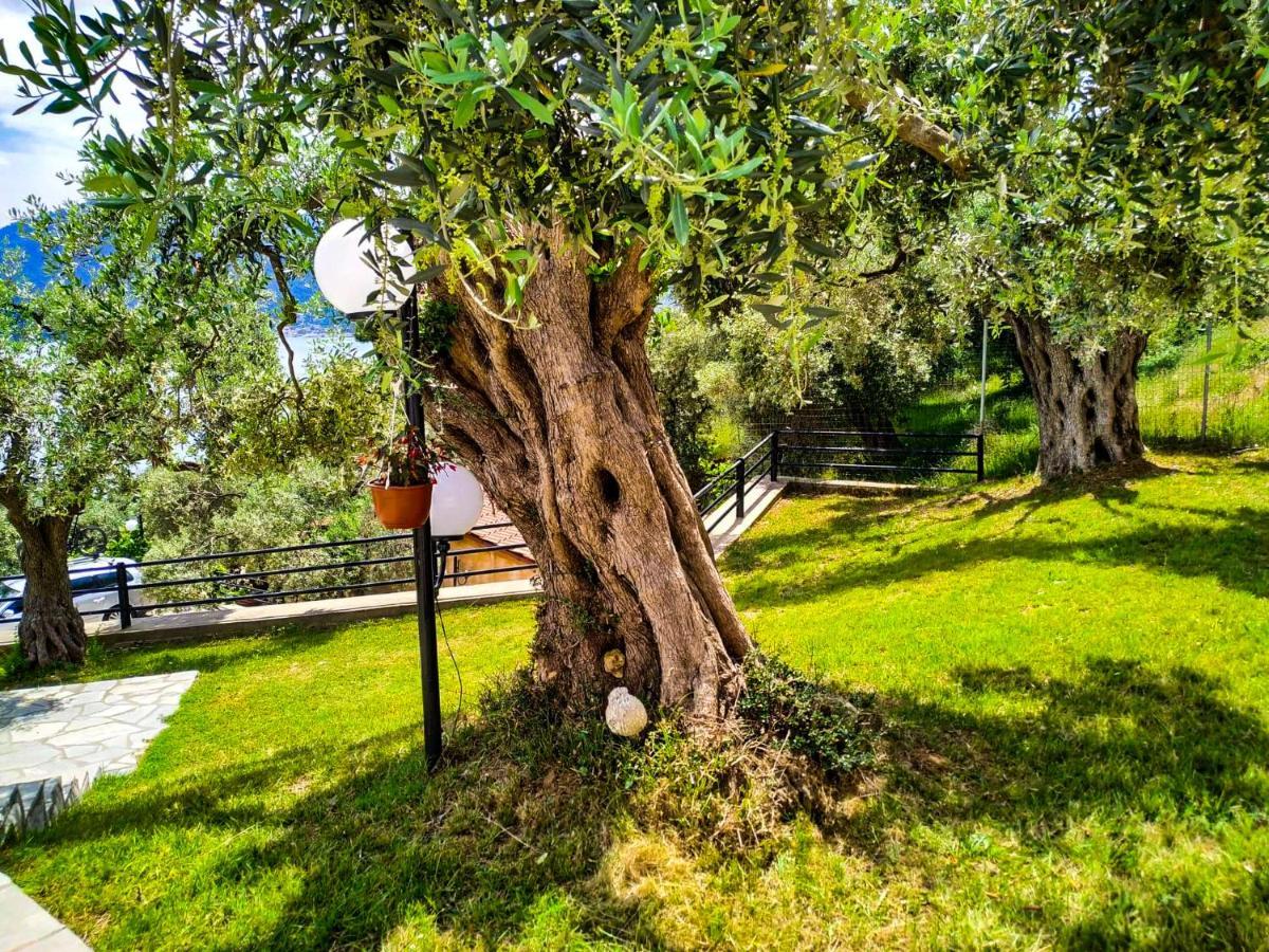 Celeste Golden Beach Χρυσή Αμμουδιά Εξωτερικό φωτογραφία